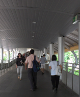 เดินตามทาง skywalk